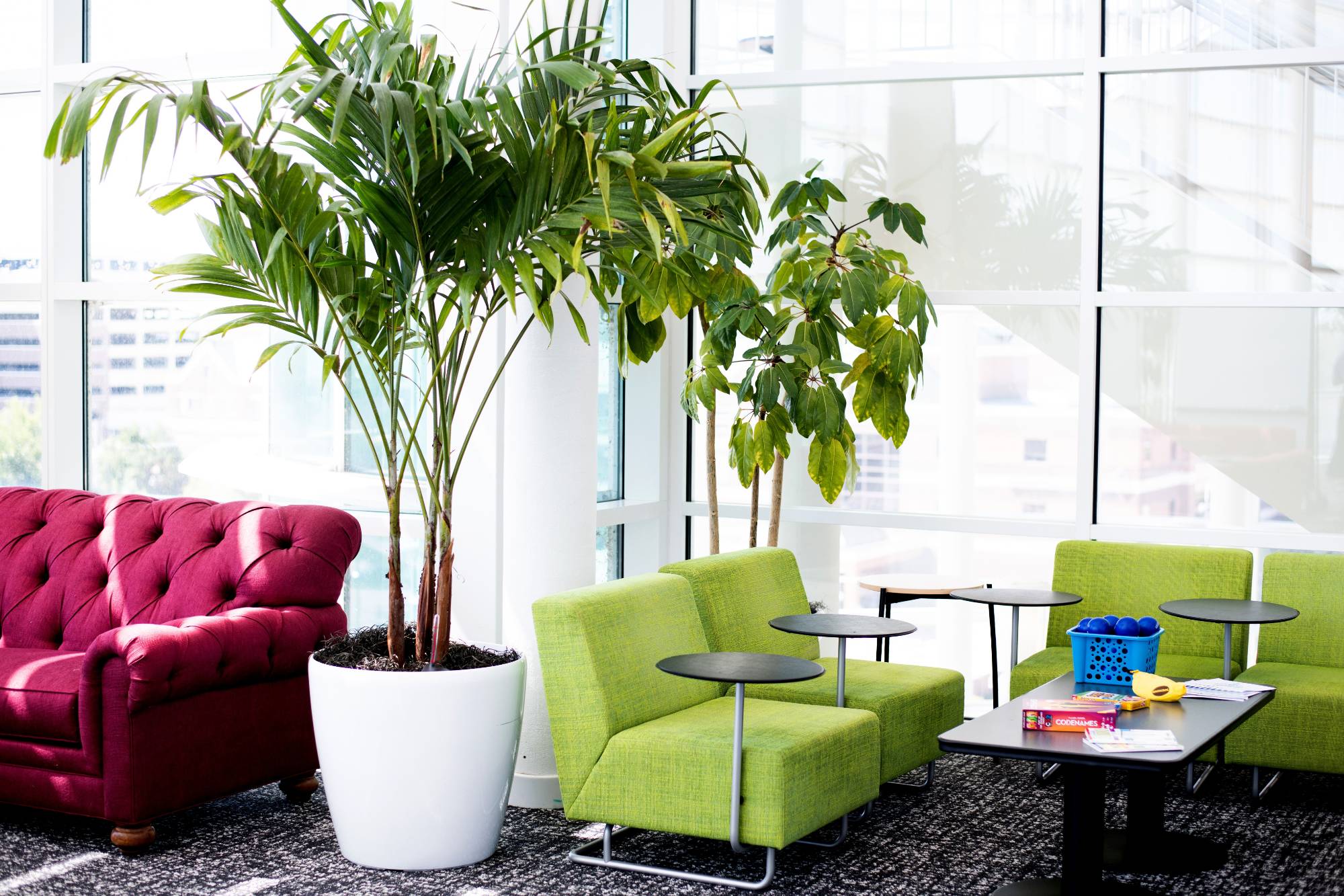 Image of burgundy couch and green chairs with a palm tree plan in the middle at the Reset Room.